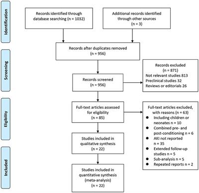 Remote Ischemic Preconditioning to Prevent Acute Kidney Injury After Cardiac Surgery: A Meta-Analysis of Randomized Controlled Trials